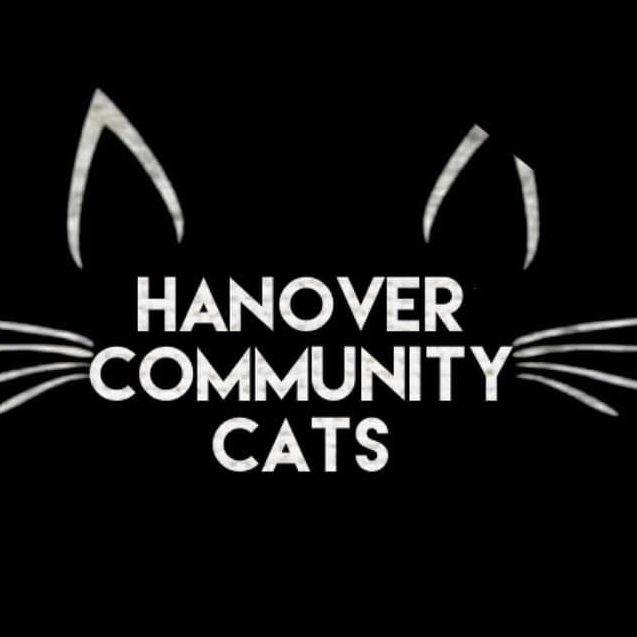 Hanover Community Cats